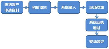 兩用物項進出口代理服務方案